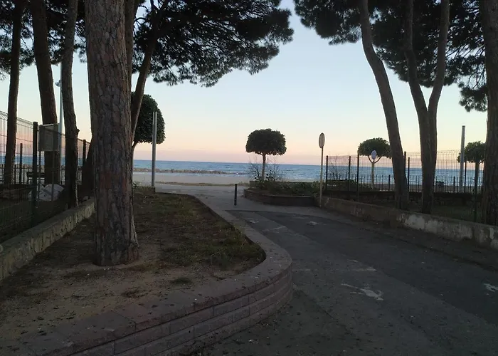 Panoramic